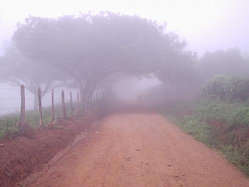 Manhãs de neblina e caminhos que conduzem por paisagens inesquecíveis
