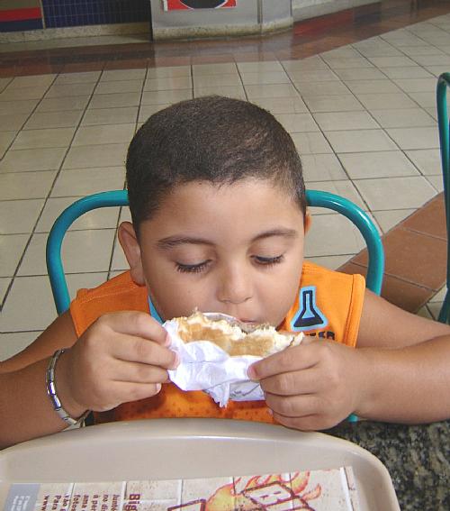 Hábitos alimentares não-saudáveis e sedentarismo podem causar obesidade infantil