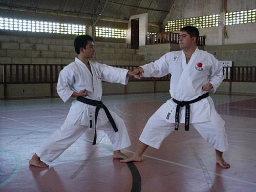 Karatecas do Nordeste participaram do curso