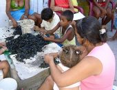 Crianças e adolescentes trabalham catando sururu em uma das favelas de Maceió