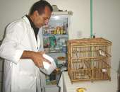 Veterinário examina animais apreendidos no Ibama