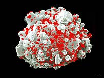 Célula infectada pelo vírus HIV-Aids