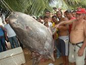 Peixe-lua foi encontrado por pescadores no Pontal de Coruripe