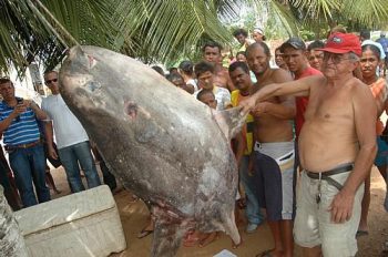 Peixe foi capturado por pescadores do Pontal de Coruripe