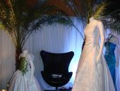 Desfile de vestidos de noivas animam participantes