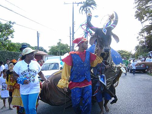 Bloco Maluco Beleza em desfile pelas ruas do Farol