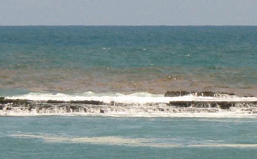 Relatório de balneabilidade aponta trechos de praias impróprios para o banho
