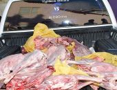 Vigilância Sanitária apreendeu 118kg de carne de carneiro imprópria para o consumo