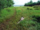 Corpo foi encontrado em meio à vegetação, às margens da lagoa