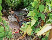 Necropsia irá determinar a causa da morte de morador de rua