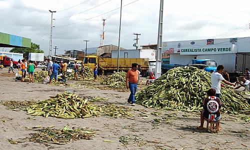 Procura por milho é intensa na região do Mercado da Produção