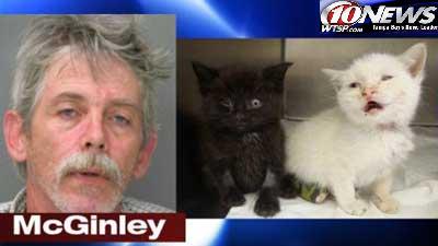 Um homem de Delaware County (Pensilvânia, EUA) foi preso após tentar comer dois gatos!