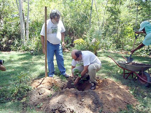 Cineasta Cacá Diegues plantou uma árvore em Maceió