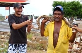 Na local, moradores encontraram uma outra cobra que reuniu muitos curiosos