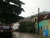 Chuva e vento fortes deixou rastro de destruição em Palmeira dos Índios