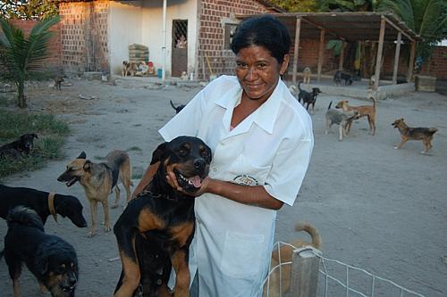 Cães são recolhidos e cuidados por Cilene Ferreira