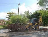 Trator removeu árvore da Avenida Senador Rui Palmeira
