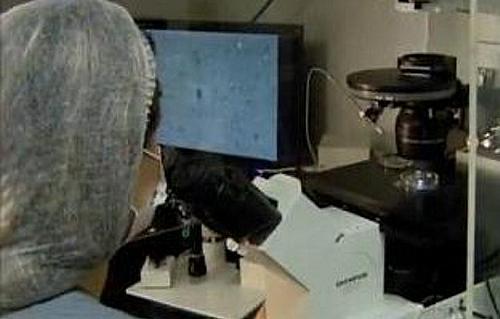 Casal fez inseminação artificial em clínica de fertilização - Reprodução TV Globo