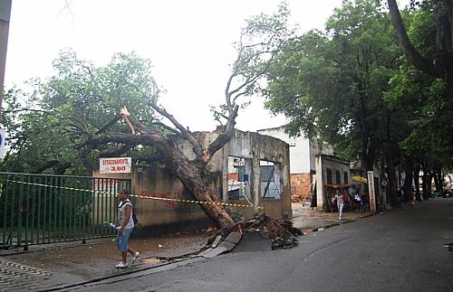 Árvore centenária caiu na Rua Augusta atingindo muro