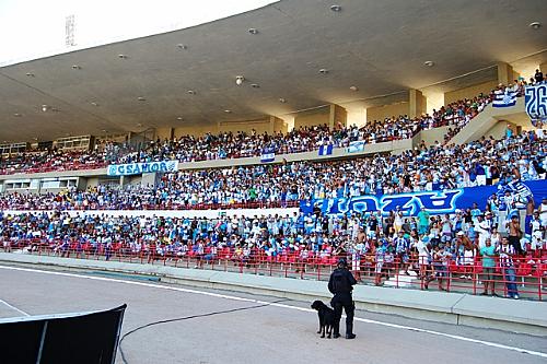 'Nação azulina' comemorou permanência do CSA na elite do futebol alagoano