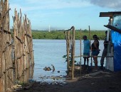 Corpo de mulher foi encontrado às margens da Lagoa Mundaú