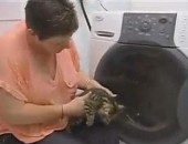 Susan Gordon disse que não notou que felino havia entrado na máquina