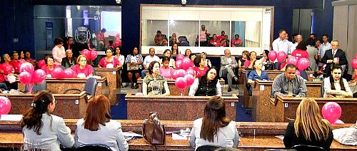 Plenário da Casa de Mário Guimarães ficou rosa