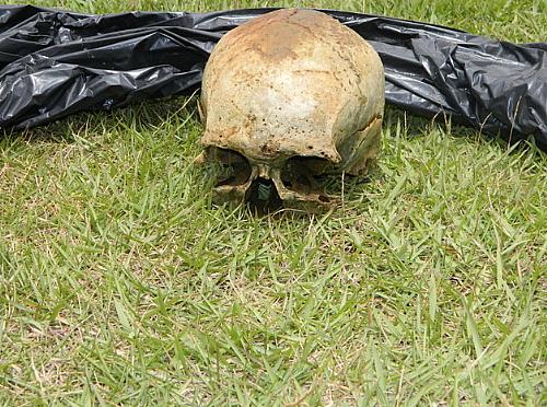 Crânio é encontrado em Parque Municipal de Arapiraca