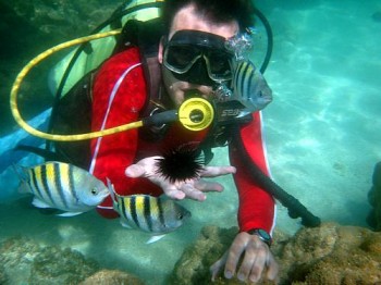 Mergulho no mar de Maragogi é um dos prazeres explorados por visitantes