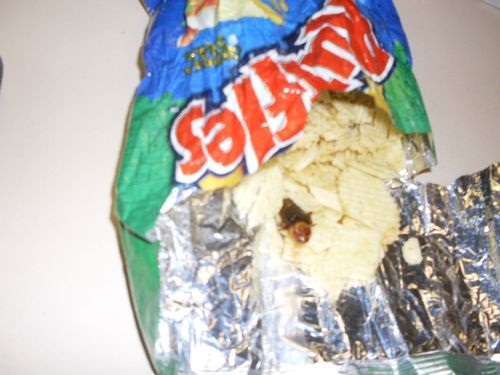 Consumidor afirma ter encontrado barata dentro de pacote de batatas fritas