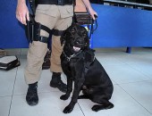 Fábio Ferreira de Araújo e a droga foram descobertos pelo cão farejador Iuk