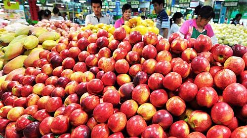 Maçã: Casca da fruta pode ser aliada no combate às doenças relacionadas à obesidade