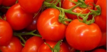 A alta de 50% no preço dos tomates respondeu por um quarto da inflação medida pelo Índice de Preços ao Consumidor Amplo