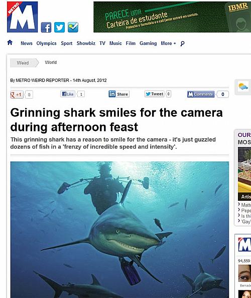 Tubarão 'sorri' ao ser fotografado no meio de cardume de sardinhas.