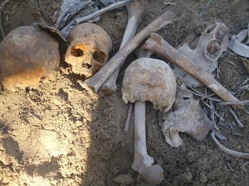 Ossadas humanas foram encontradas em Maragogi