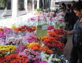 Festival reúne mais de 120 espécies de flores e plantas em Maceió