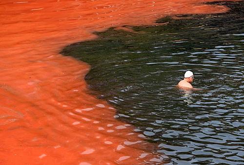 Banhista para antes de chegar à área do mar que ficou vermelha devido a uma alta proliferação de algas na praia de Clovelly, em Sydney, na Austrália, nesta terça-feira (27)