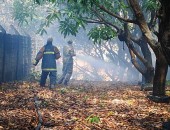 Bombeiros contiveram incêndio que se alastrou para vegetação