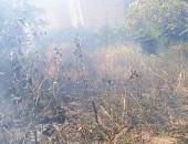 Bombeiros contiveram incêndio que se alastrou para vegetação