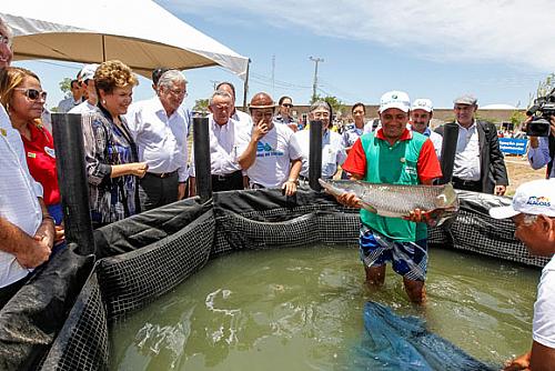 Dilma visita produção de propriedades beneficiadas pelo Canal do Sertão Alagoano