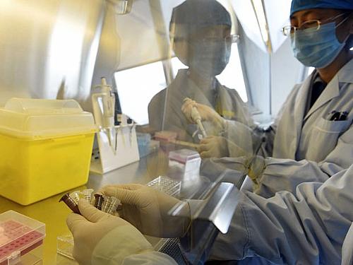 Cientistas analisam o vírus H7N9 em Pequim