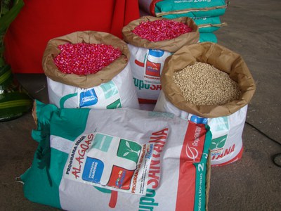 Governo entrega sementes em Santana do Ipanema