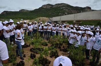 Estudantes começam a plantar dez mil mudas no Canal do Sertão