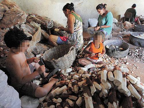 Trabalho infantil no país expõe a risco 1,9 milhão de brasileiros