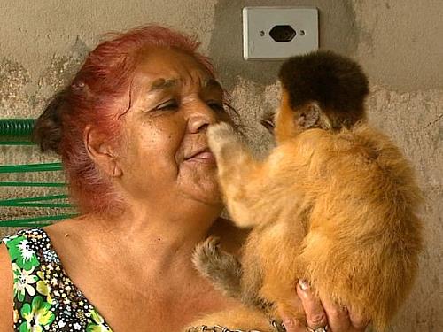 Dona do macaco Chico relembra como eram os carinhos trocados entre eles