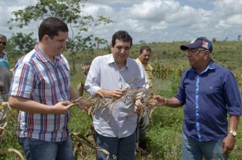 Autoridades conferem plantação de milho na zona rural de Girau do Ponciano