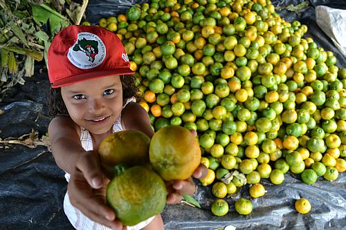 Feira da Reforma Agrária será realizada em Arapiraca