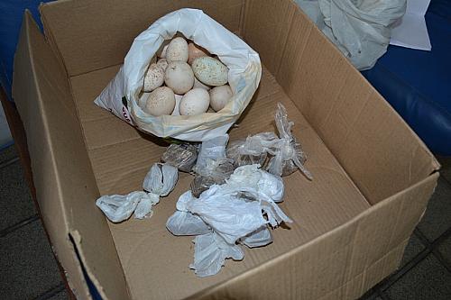Pelopes prende homem com 500g de crack em embalagem com ovos na BR 101