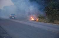 Fogo em vegetação deixa motoristas em alerta na AL-215