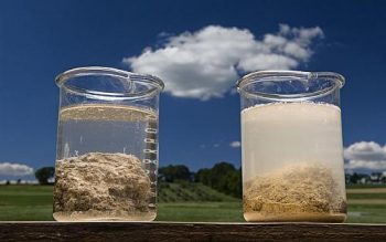 Foto mostra a diferença entre um solo cultivado organicamente (esquerda) e outro que recebeu a adição de adubos químicos ou agrotóxicos